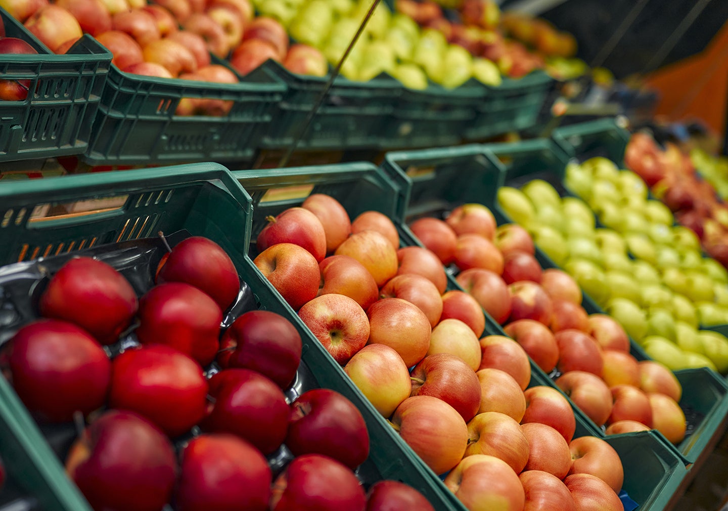 Display of apple varieties