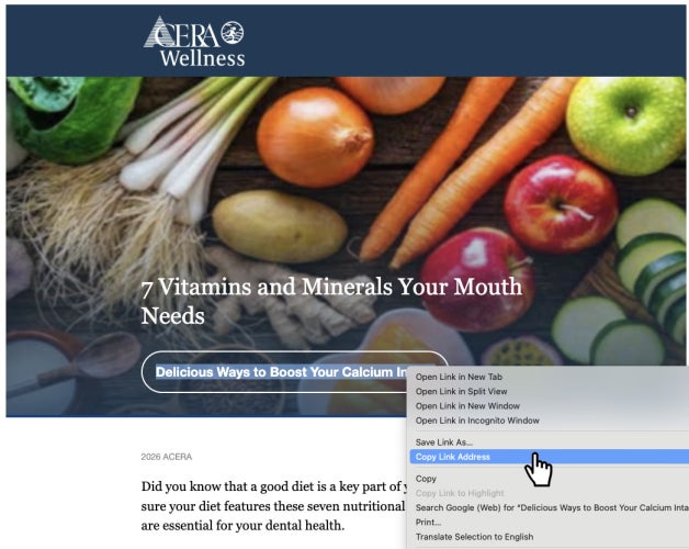 Image of how to copy link url on a computer