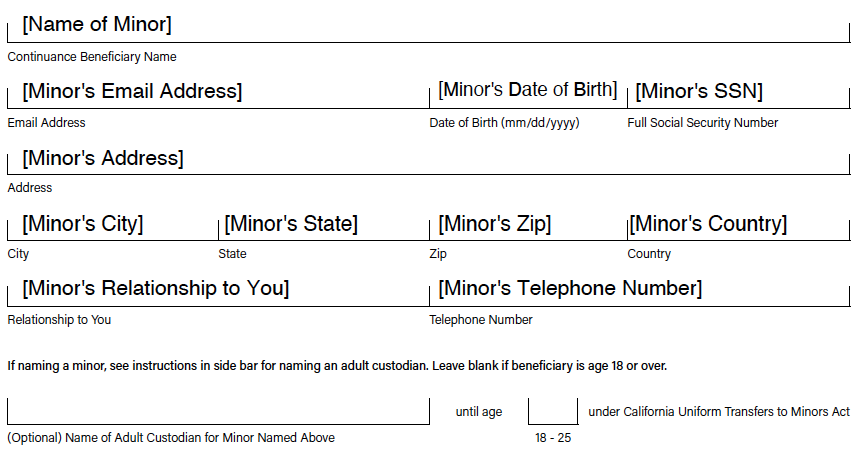Image of the form showing how to name a minor without naming a custodian